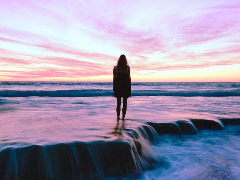 w3layouts w3layouts