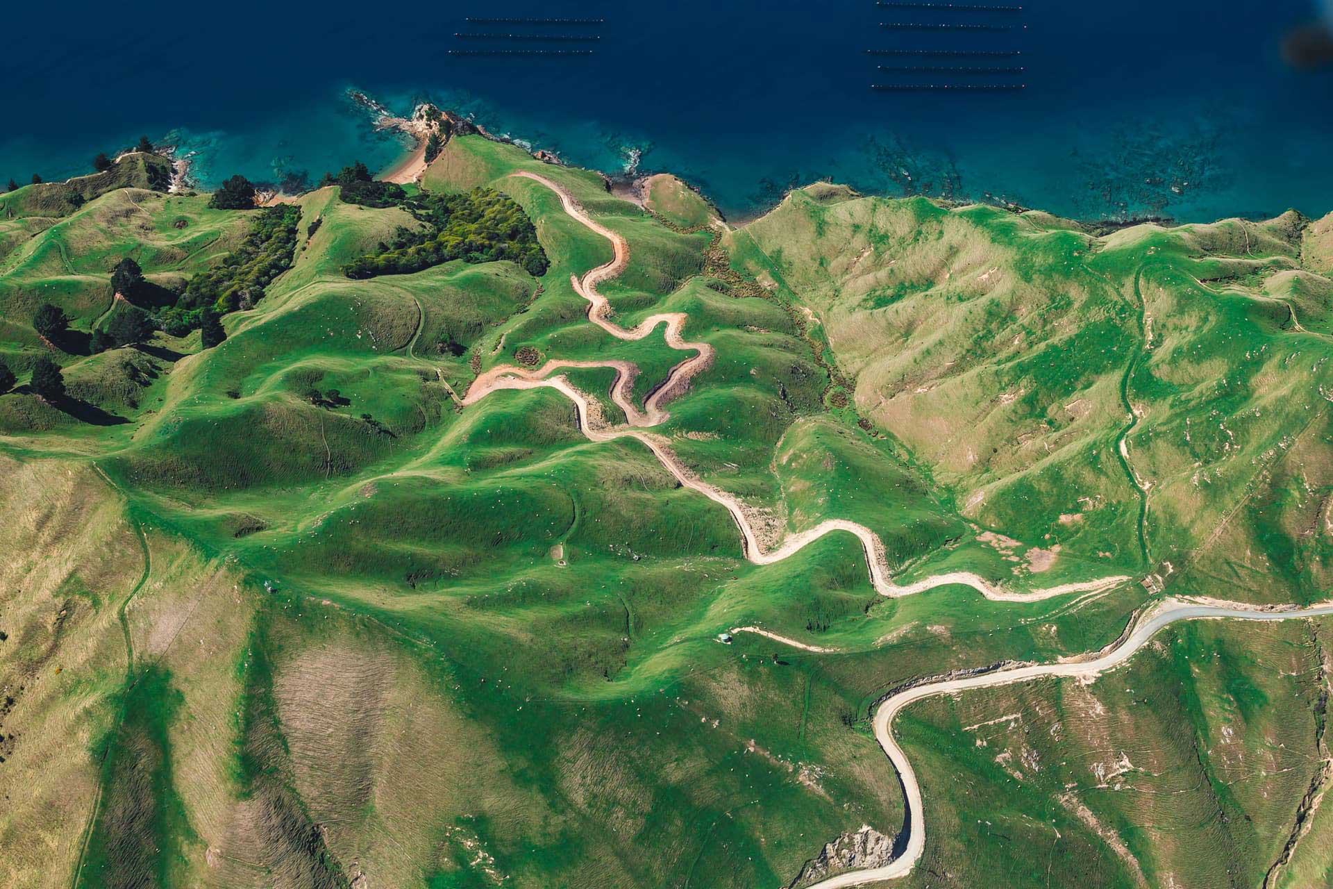 Free HTML5 by