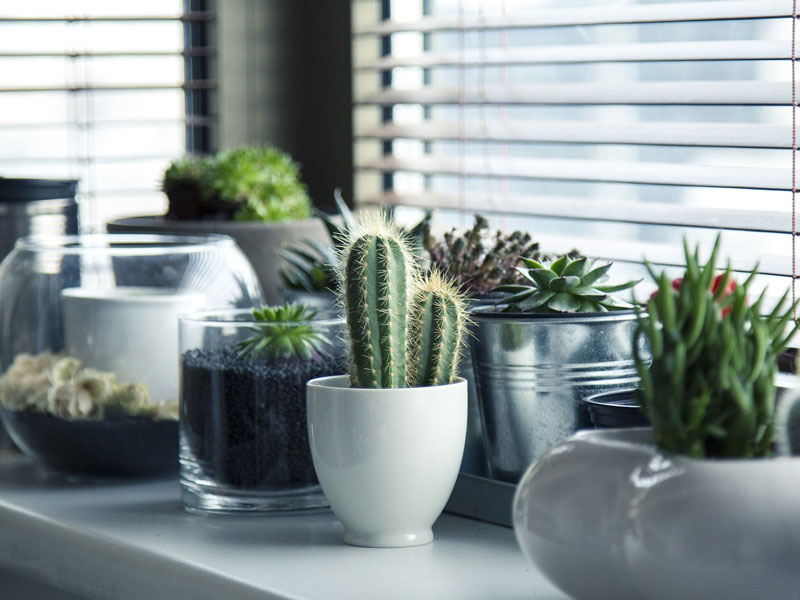 w3layouts w3layouts