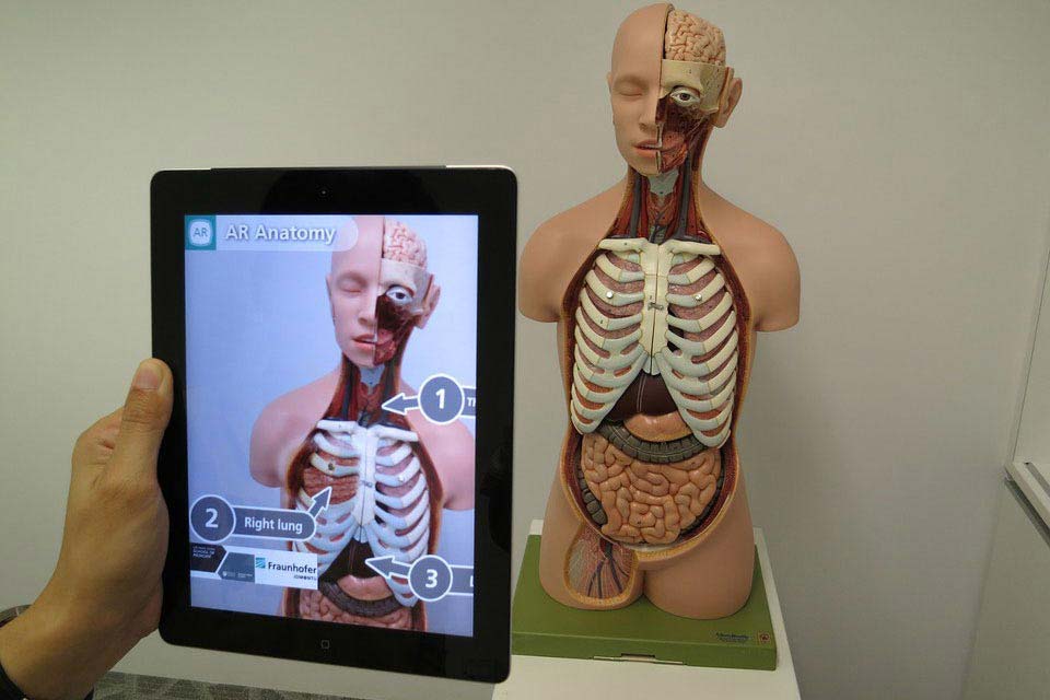 service