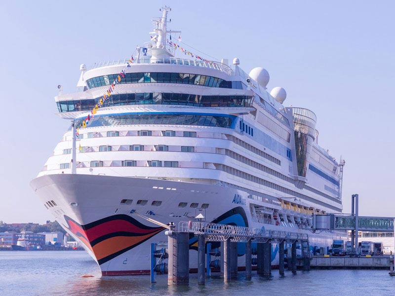 w3layouts w3layouts