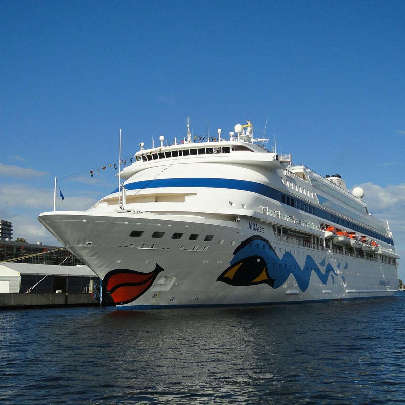 w3layouts w3layouts
